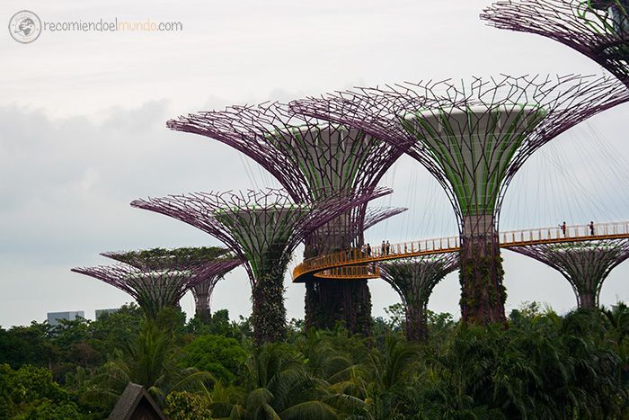 Supertree-Grove-Singapur