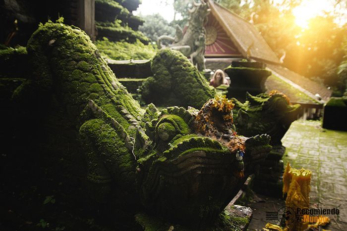 wat-pha-lat-dragon Chiang Mai fuera de rutas turísticas