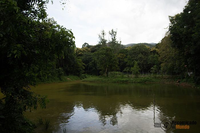wat-umong-estanque