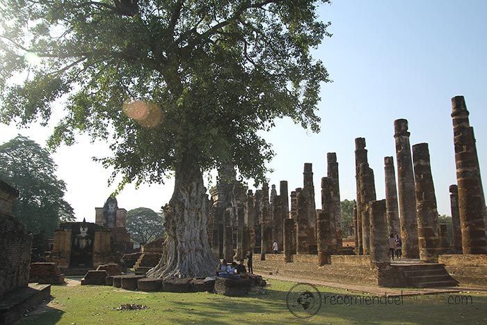 Wat Mahathat (Templo de la Reliquia)