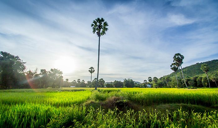 Camboya