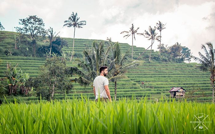 Itinerario y presupuesto Indonesia 20 días
