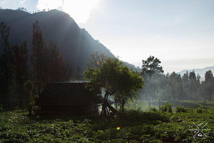 Hacia el mirador del volcán
