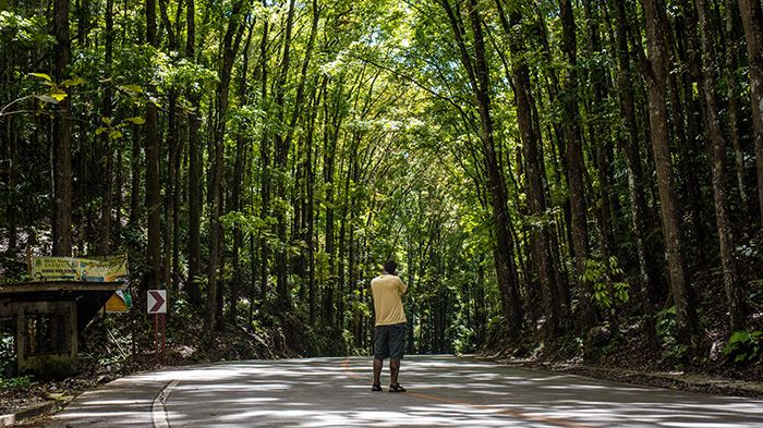 Bohol