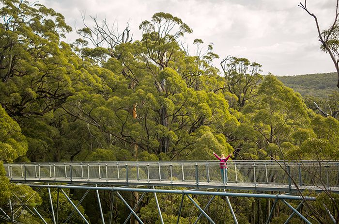 Valley of the Giants Tree Top