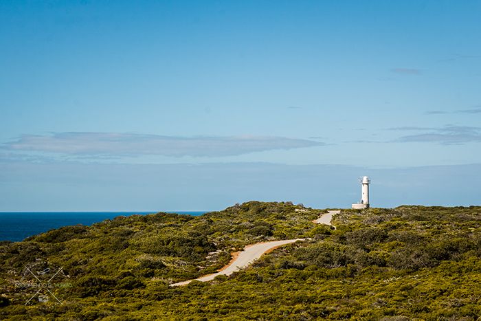 Road trip Australia etapa 2 de Albany a Norseman
