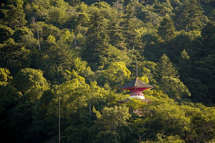 Qué ver en Miyajima