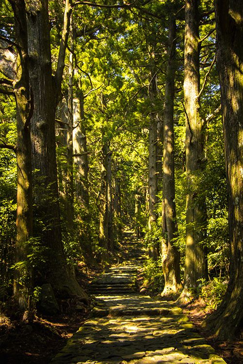 Que ver en Nachi Katsuura, ruta Kumano Kodo