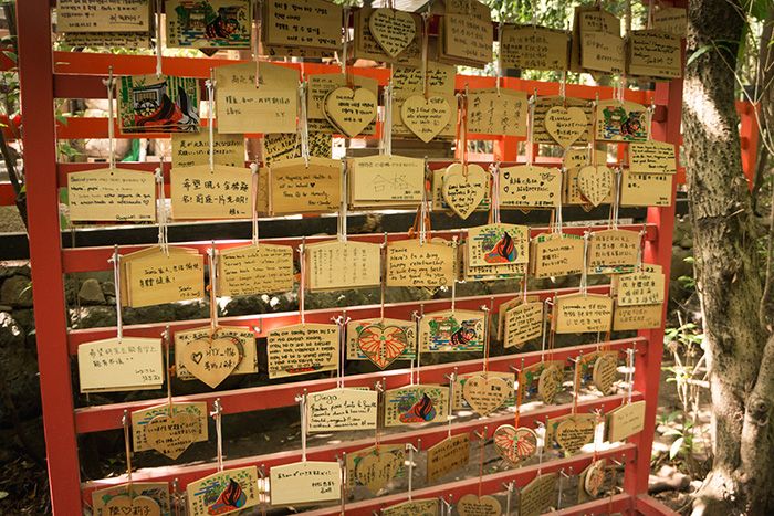 Bosque de bambú y los templos de Arashiyama