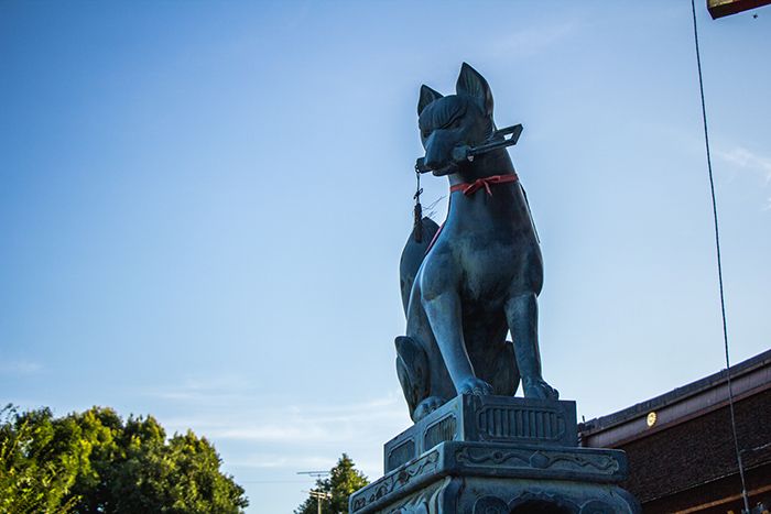 Fushimi Inari y Nara