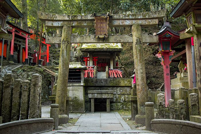 Fushimi Inari y Nara