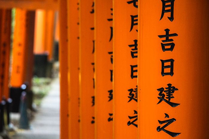 Fushimi Inari y Nara