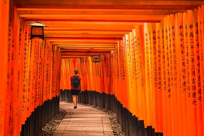 Fushimi Inari y Nara