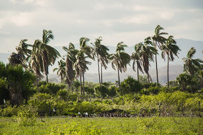 Puerto Escondido