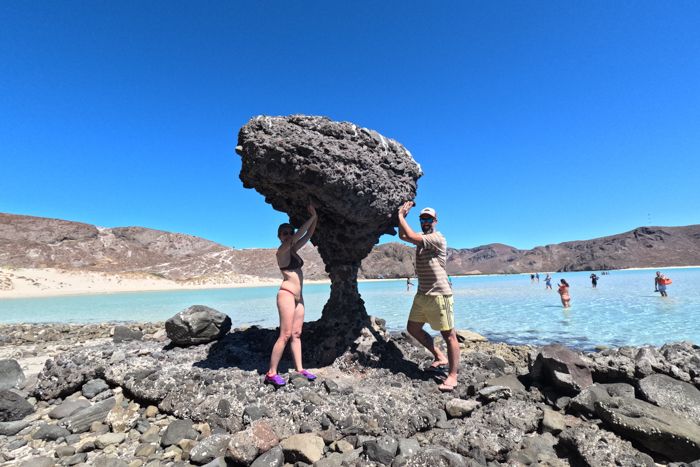 Hongo en Playa Balandra, Baja California Sur. 