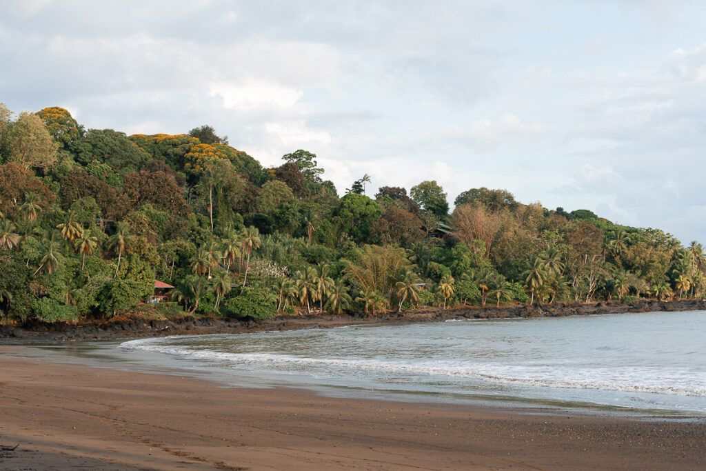 Vista de la costa selvatica y playa de arena oscura en Bahia Drake