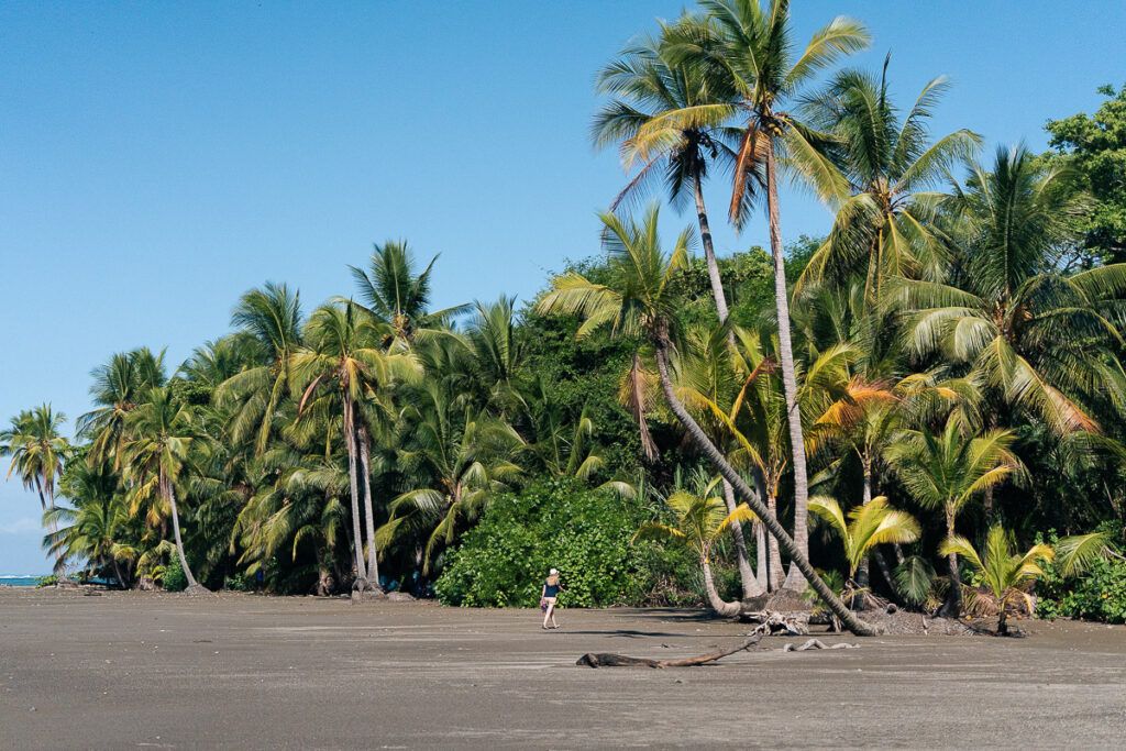 Playa virgen rodeada de palmeras en el Parque Nacional Marino Ballena en Uvita